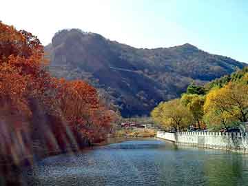 新澳天天开奖资料大全旅游团，电机节电器